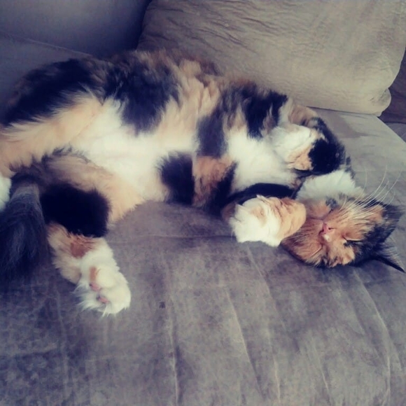 Meet your Posher, Kendra - Picture 1 of 1